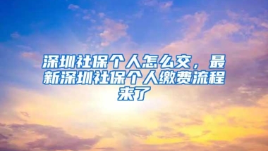 深圳社保个人怎么交，最新深圳社保个人缴费流程来了